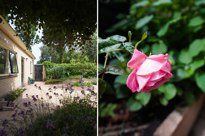 Foto 50 van Rietgansstraat 9