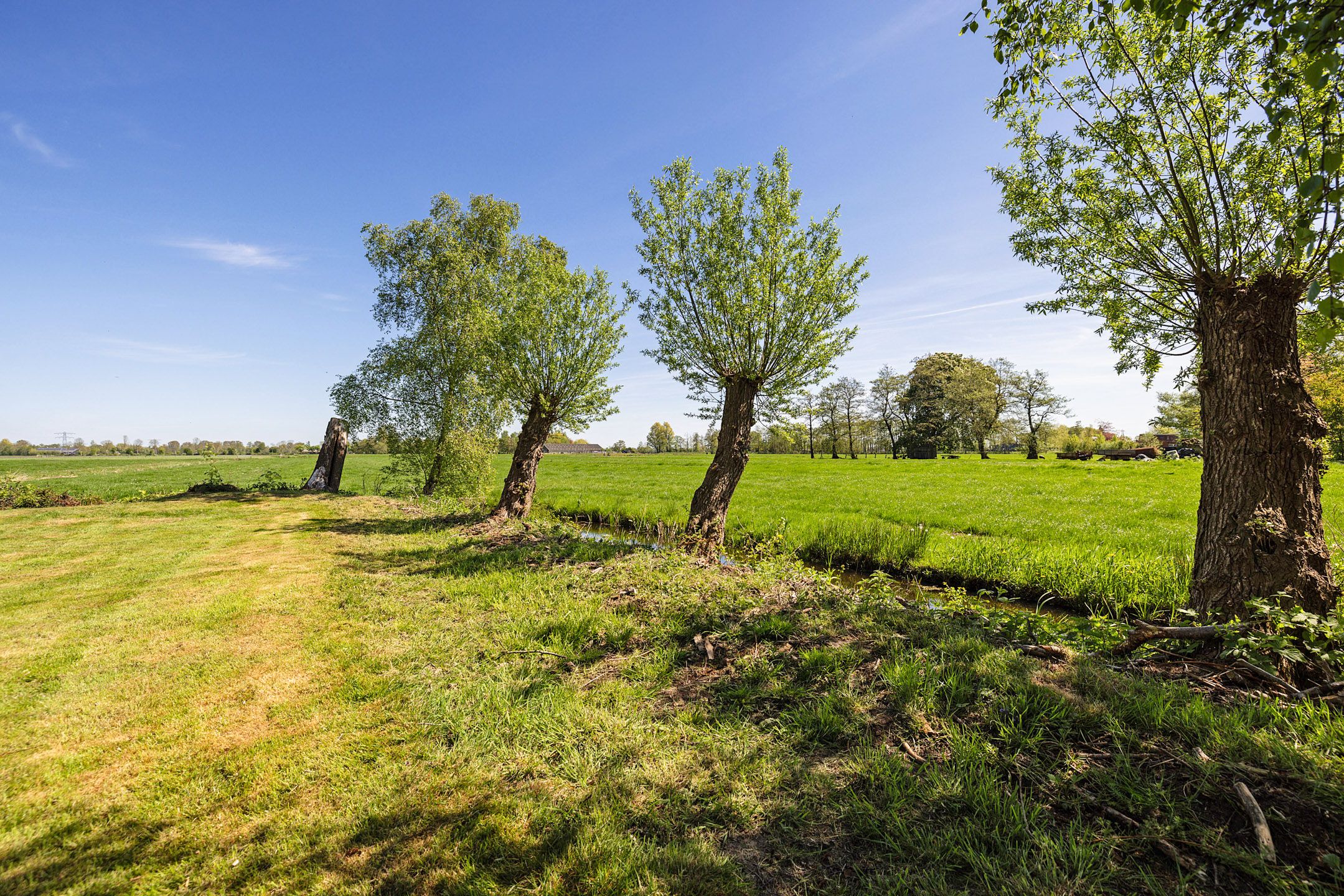 Foto 30 van Suderein 1