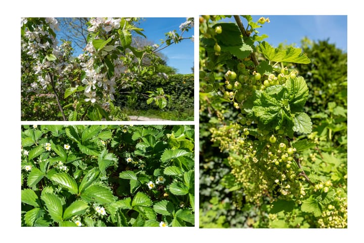 Photo 41 of Beukenlaan 54