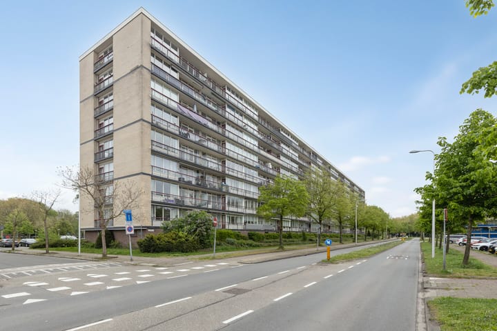 Foto 31 van Korfoedreef 111