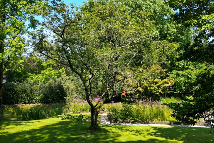 Foto 16 van Grieglaan 24-A