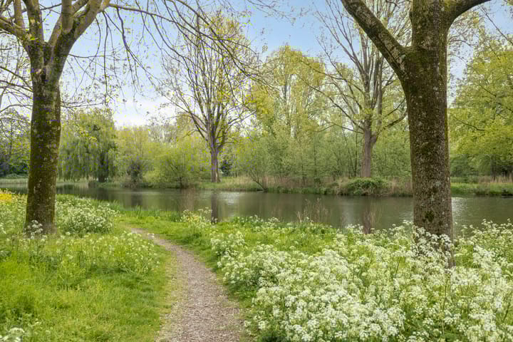 Foto 34 van Korfoedreef 111