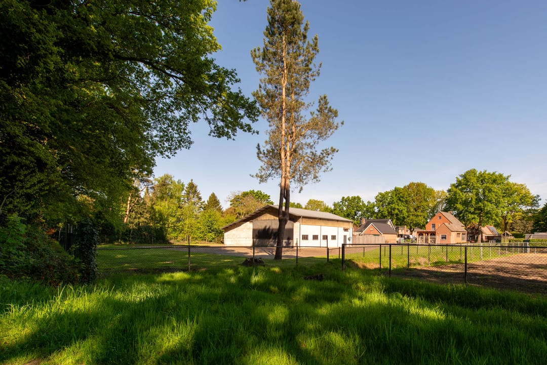 Foto 38 van Zandfort 20