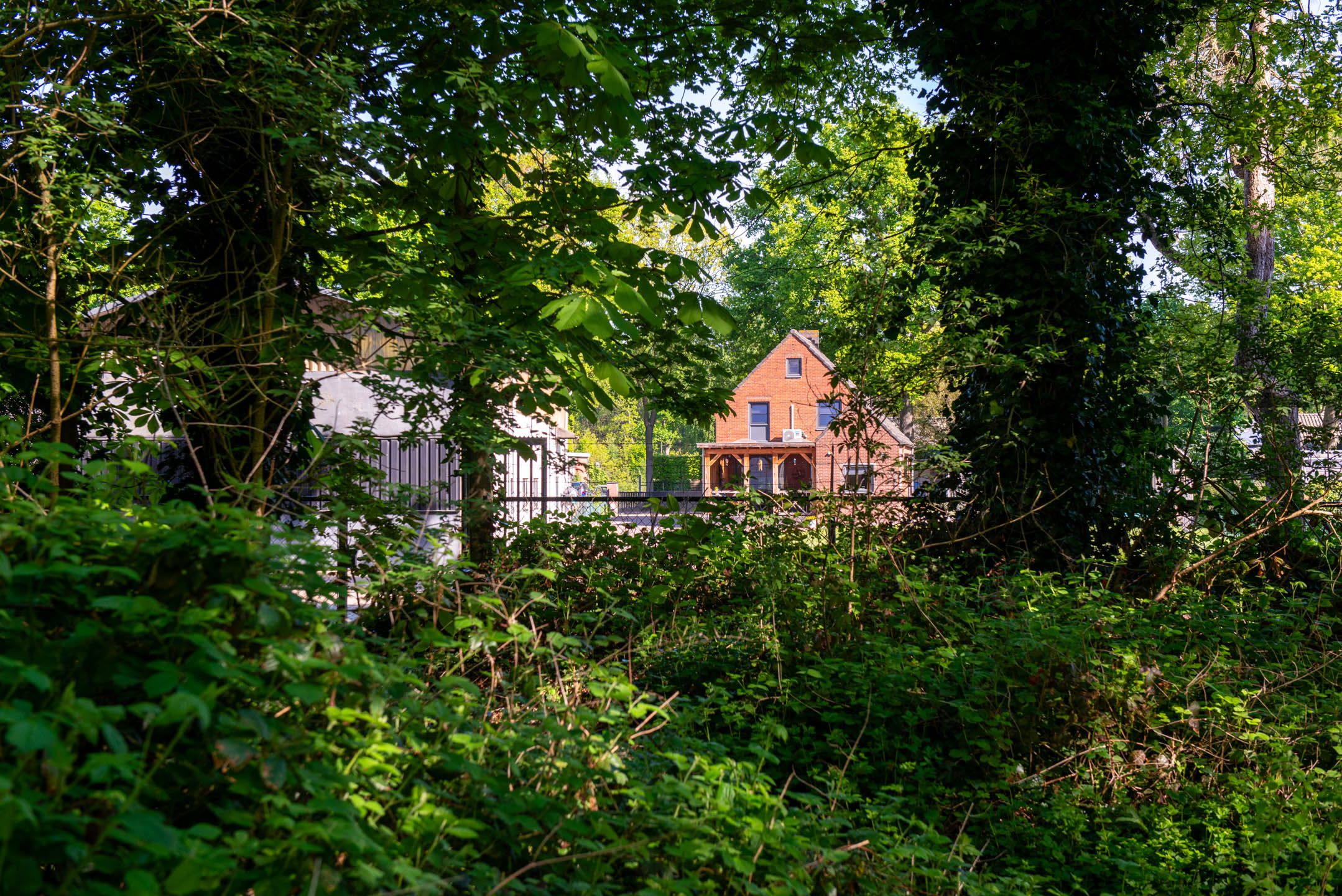 Foto 39 van Zandfort 20