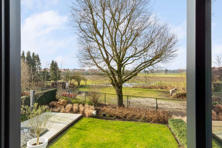 Foto 32 van Waterjuffer 25