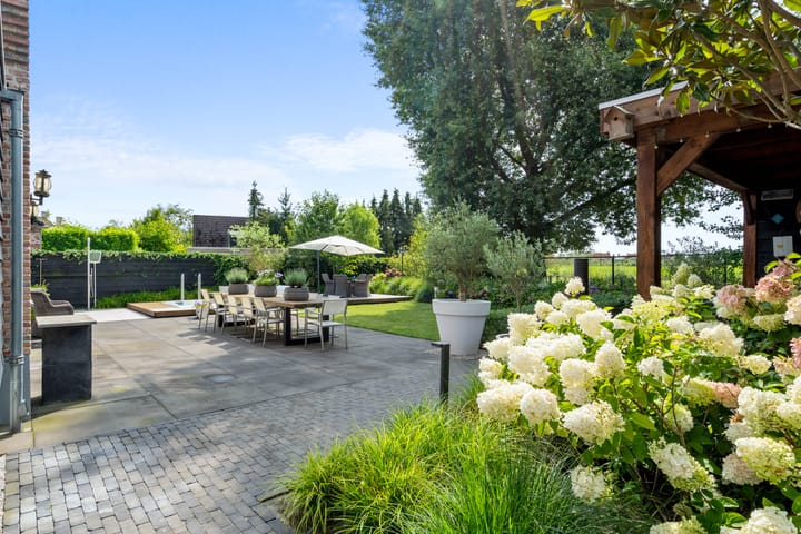 Foto 33 van Waterjuffer 25