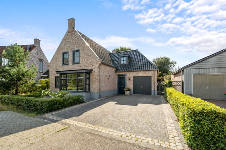 Foto 50 van Waterjuffer 25