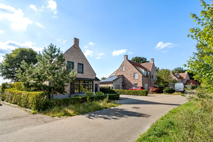 Foto 52 van Waterjuffer 25