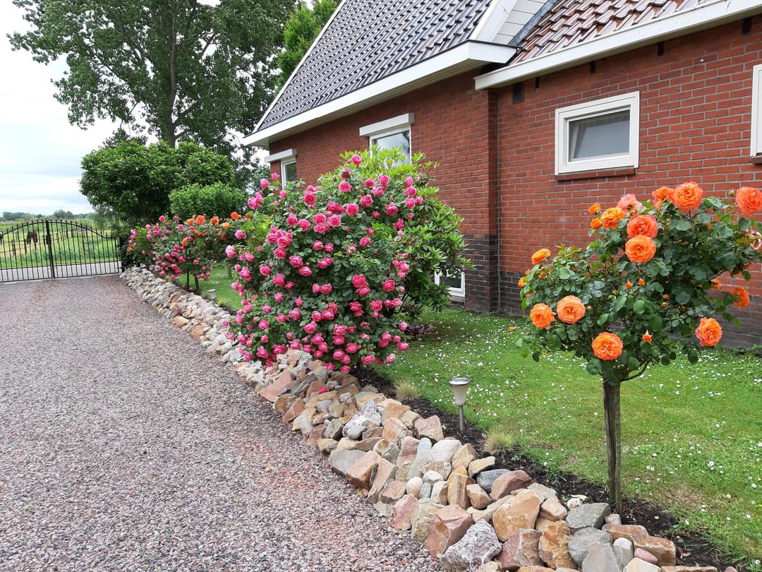 Foto 31 van Nieuweweg 80