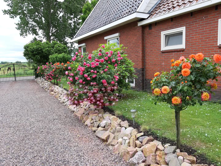 Foto 31 van Nieuweweg 80