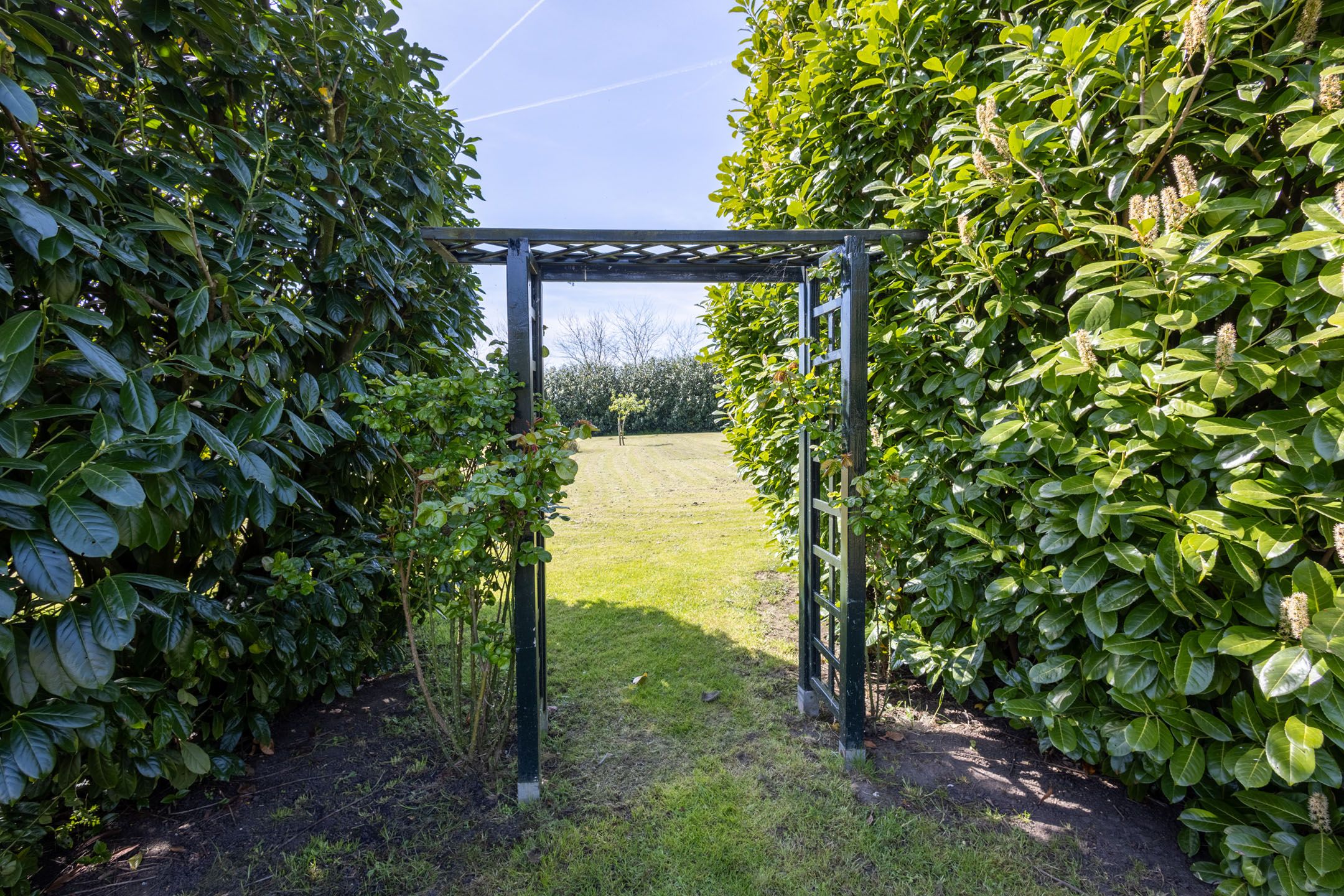 Foto 51 van Nieuweweg 80