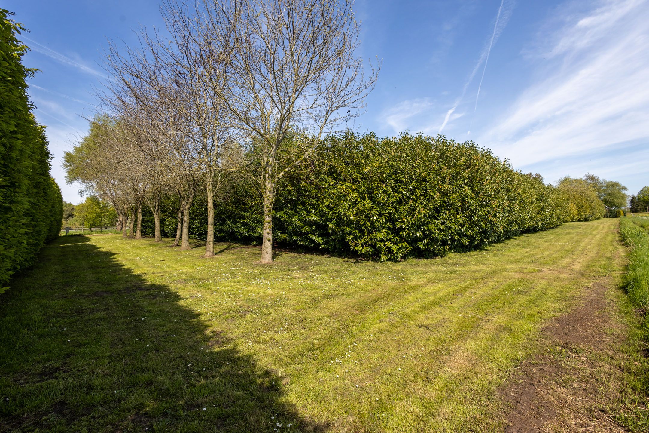 Foto 57 van Nieuweweg 80