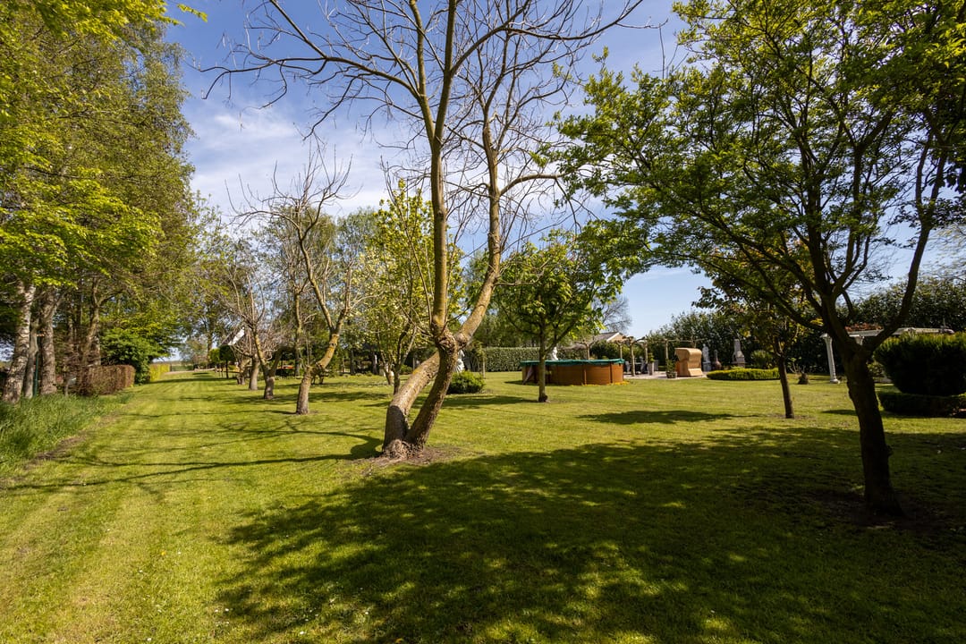 Foto 58 van Nieuweweg 80