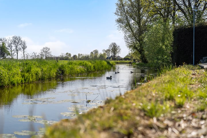 Foto 52 van Marsherne 19