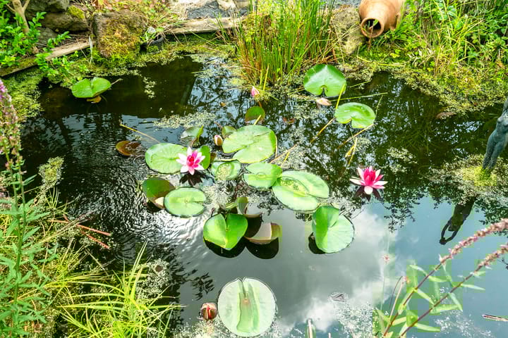 Foto 36 van Sierkersstraat 24