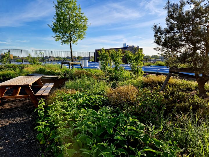 Foto 30 van Surinamepad 110