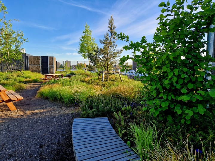 Foto 31 van Surinamepad 110