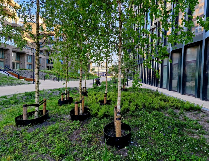 Foto 32 van Surinamepad 110