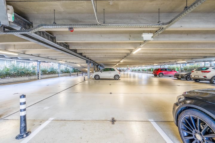 Foto 35 van Surinamepad 110