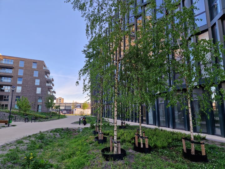 Foto 36 van Surinamepad 110