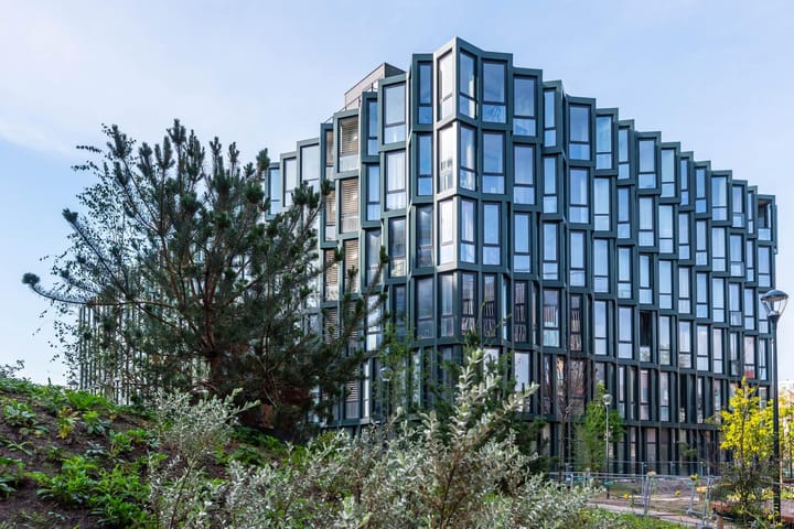 Foto 37 van Surinamepad 110