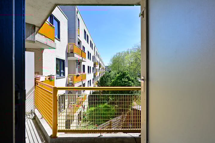 Foto 19 van Alfred Döblinstraat 110