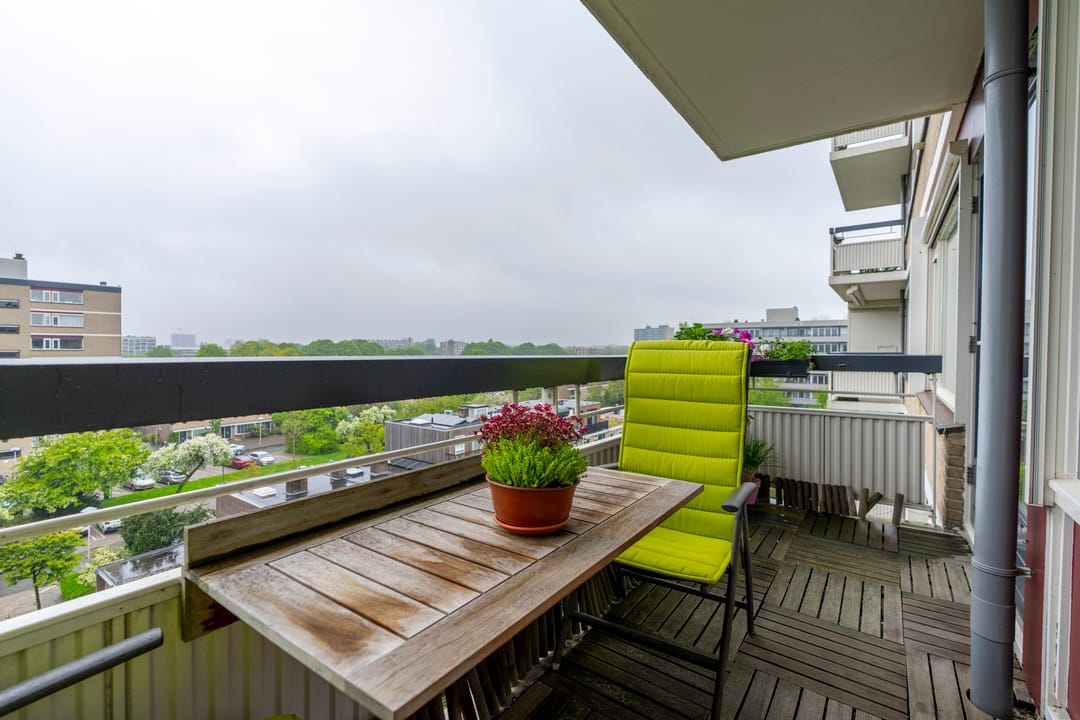 Photo 13 of Fruinplantsoen 25