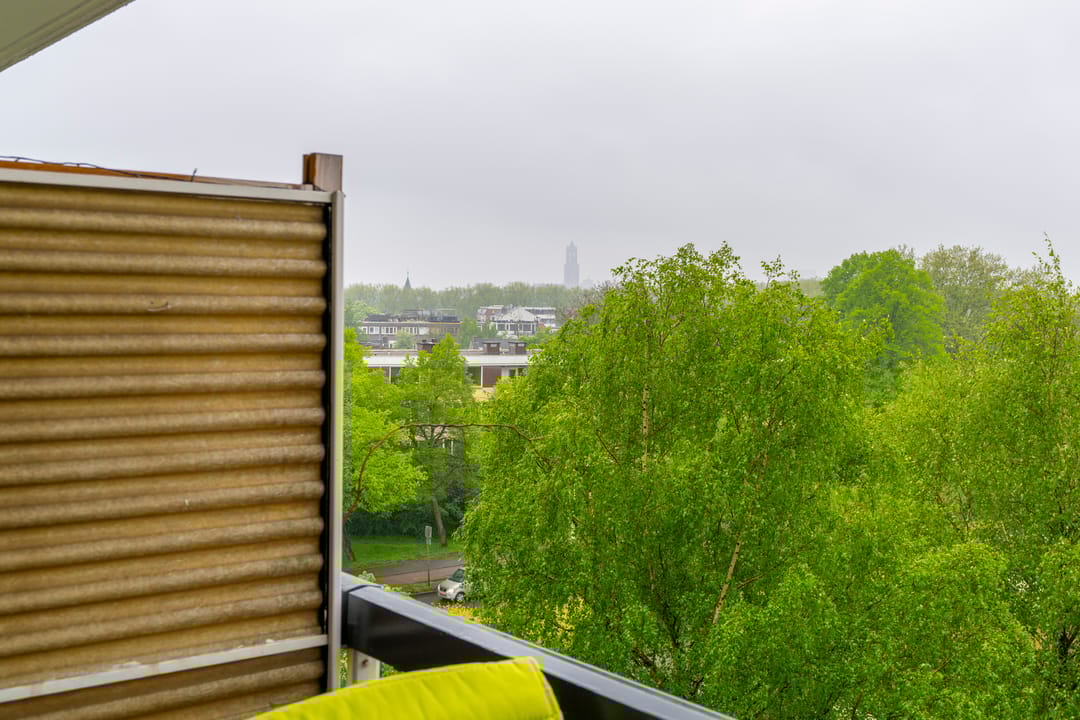 Photo 16 of Fruinplantsoen 25