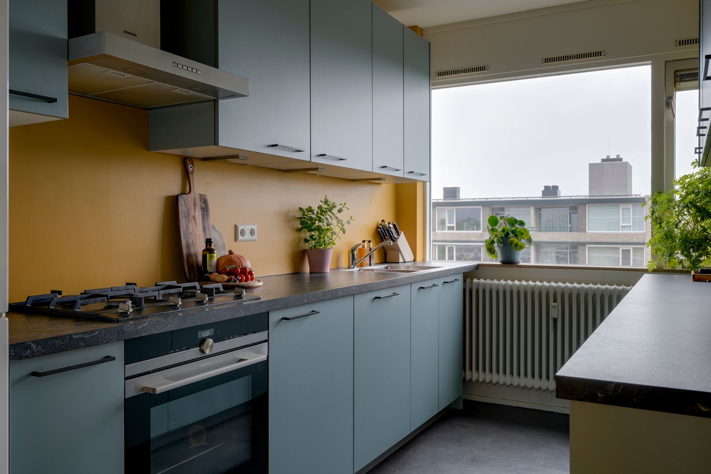 Photo 19 of Fruinplantsoen 25