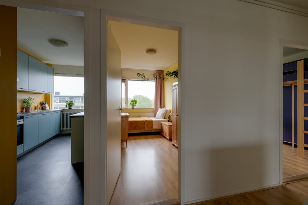 Photo 22 of Fruinplantsoen 25