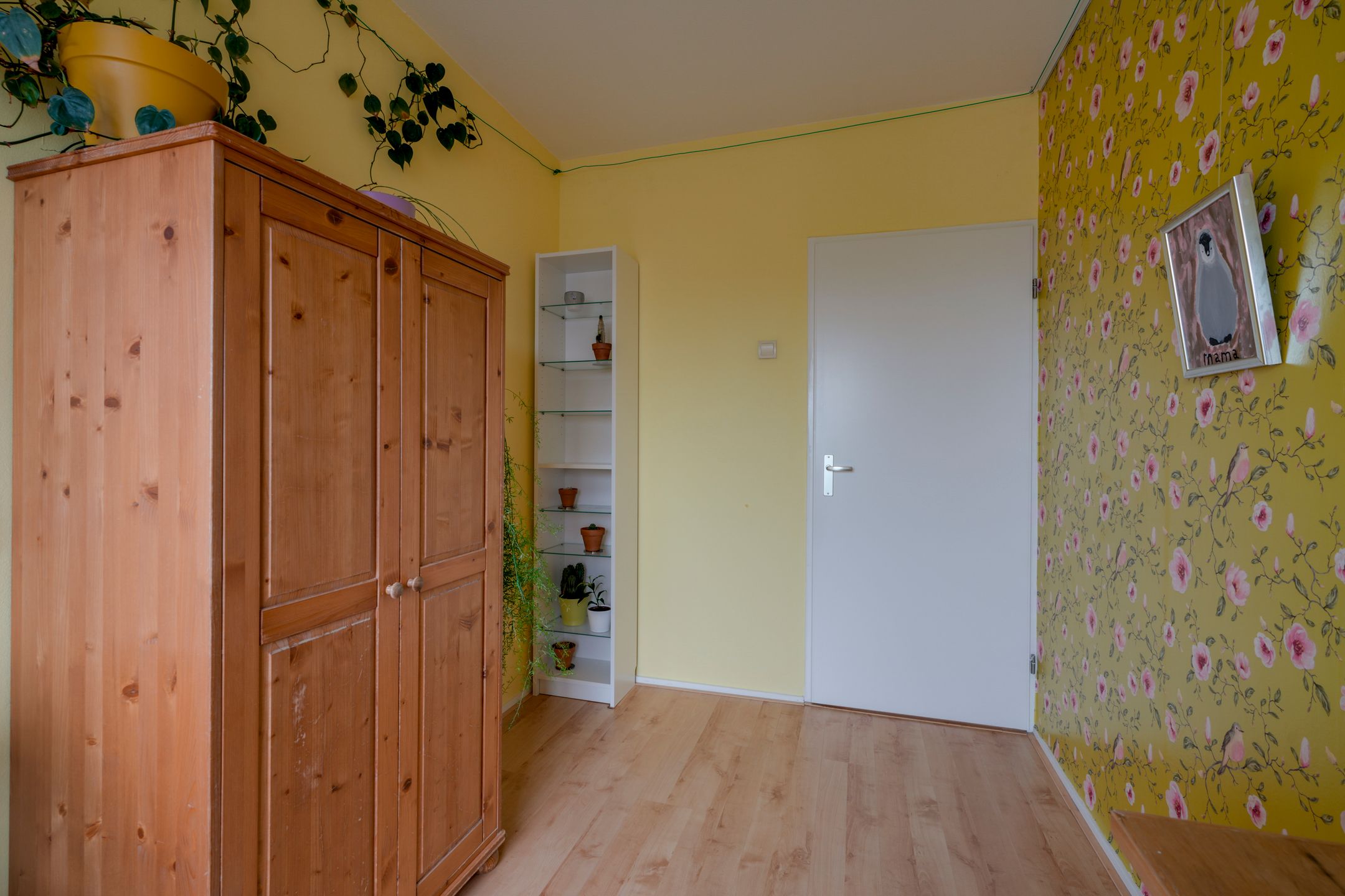 Photo 24 of Fruinplantsoen 25