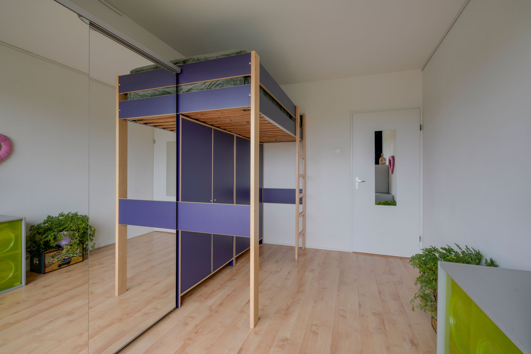 Photo 27 of Fruinplantsoen 25