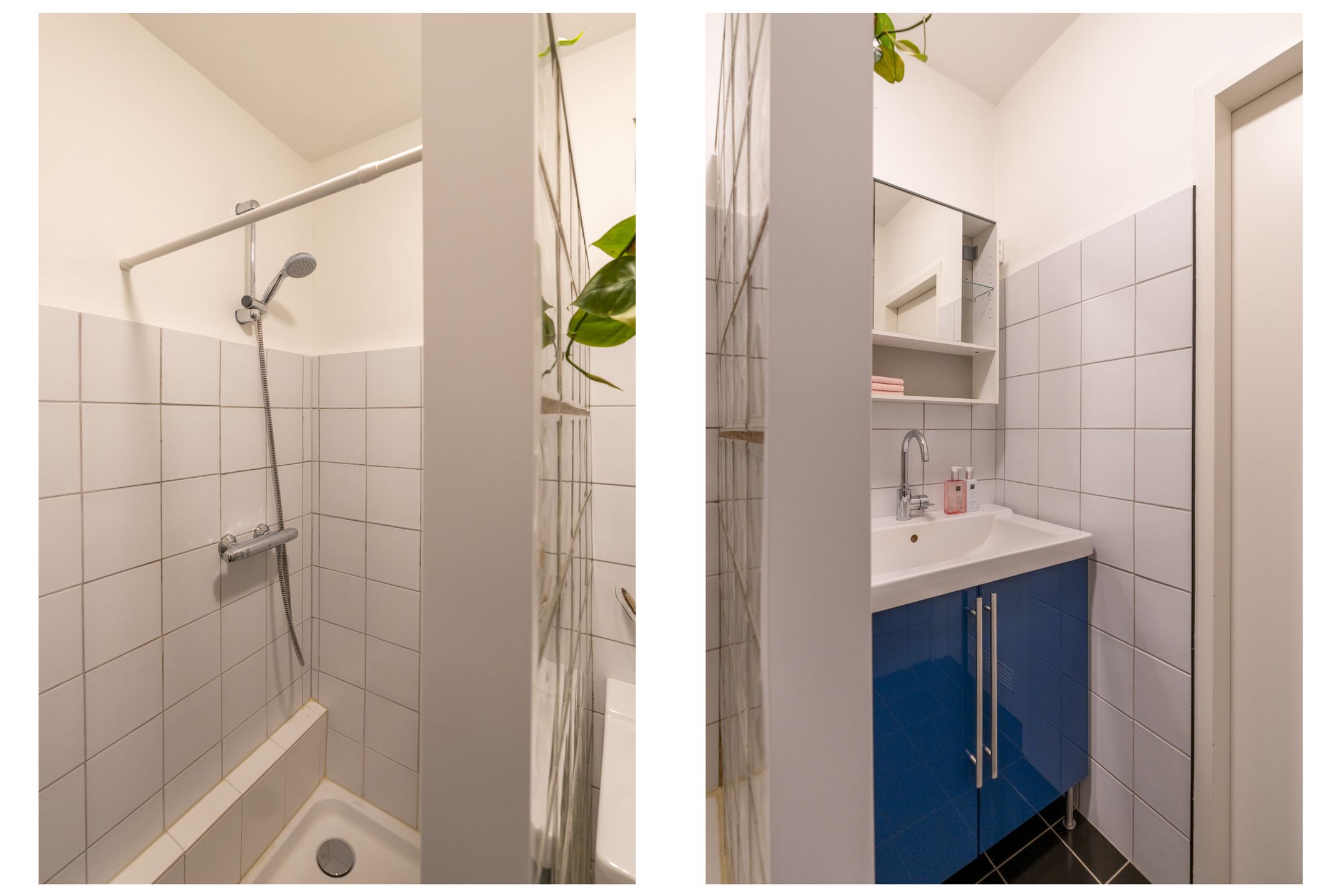 Photo 30 of Fruinplantsoen 25