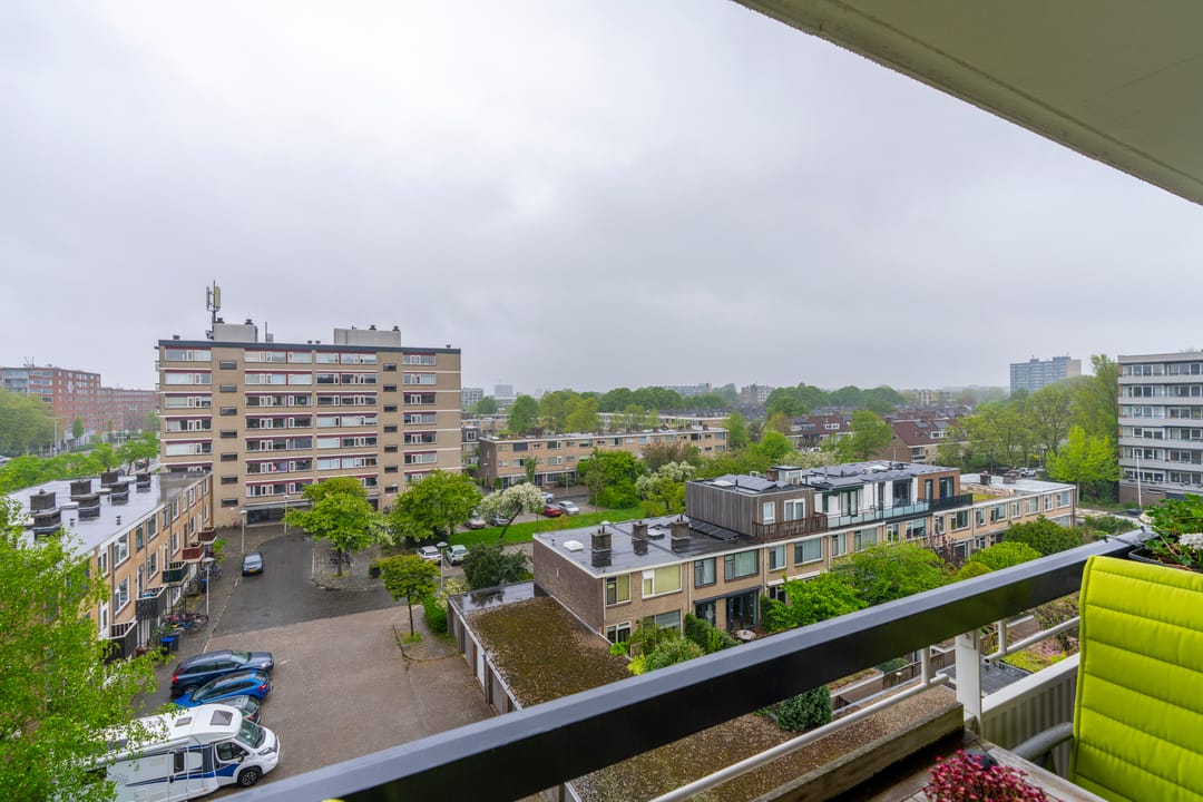 Photo 38 of Fruinplantsoen 25