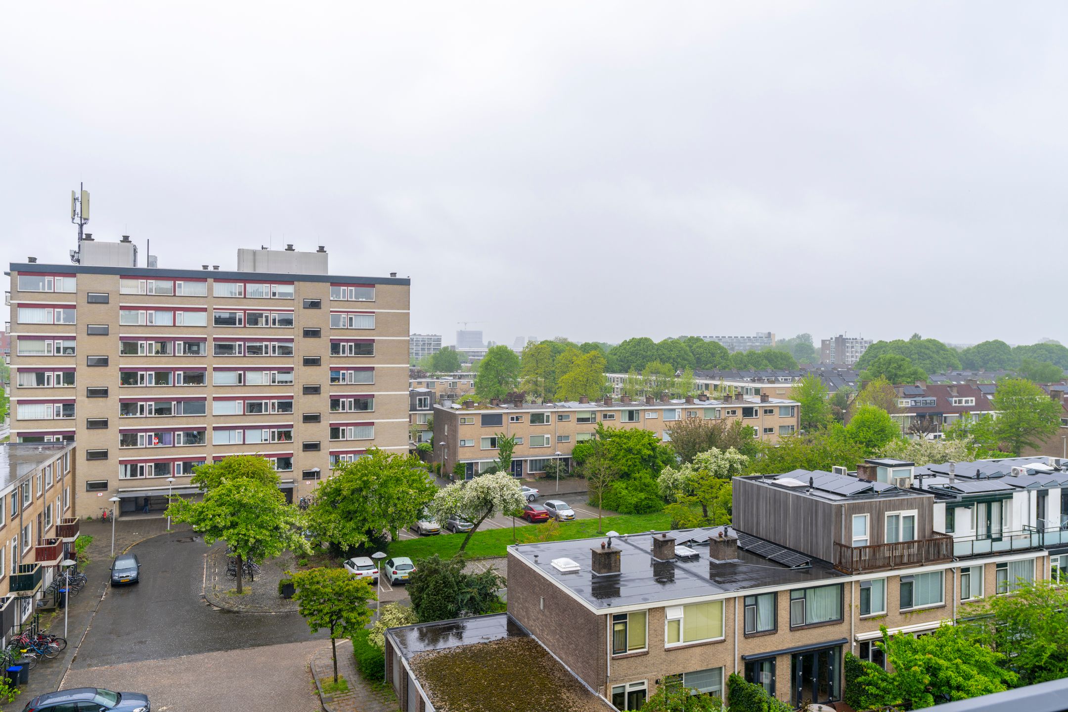 Photo 39 of Fruinplantsoen 25