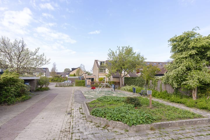 Foto 39 van Lijndraaier 110