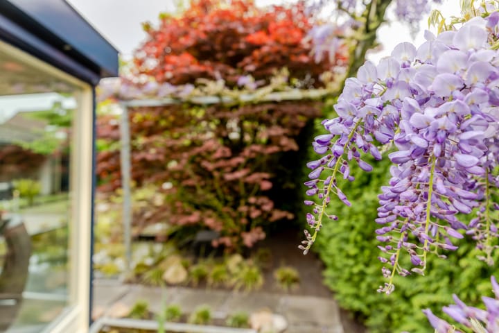 Foto 43 van Klokkenmaker 18