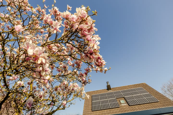 Foto 45 van Klokkenmaker 18