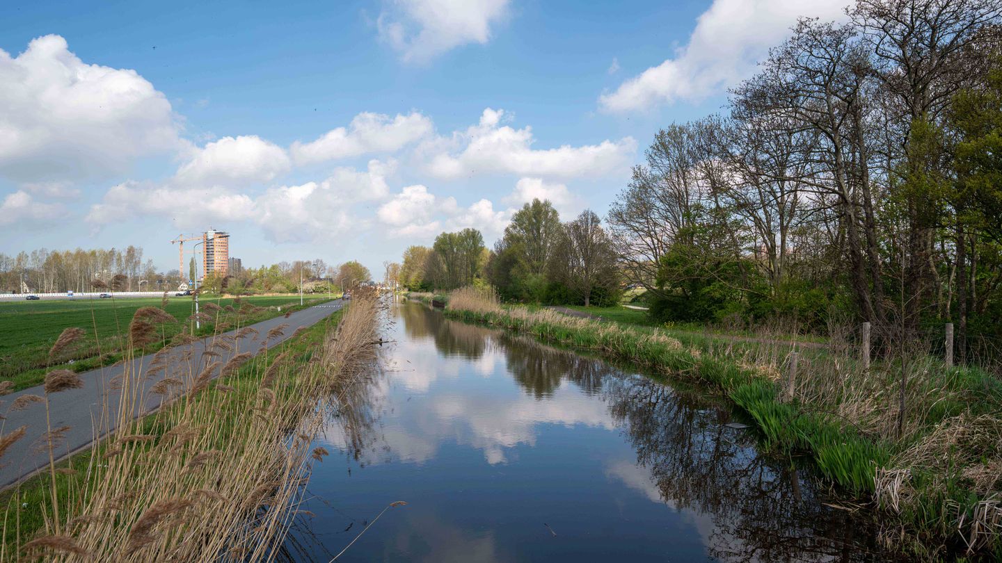 Foto 95 van Vrouwenweg 55