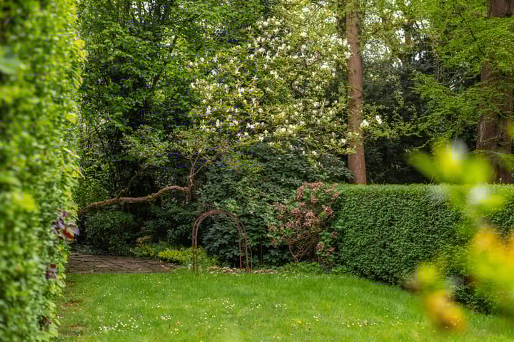 Photo 18 of Essenlaan 6