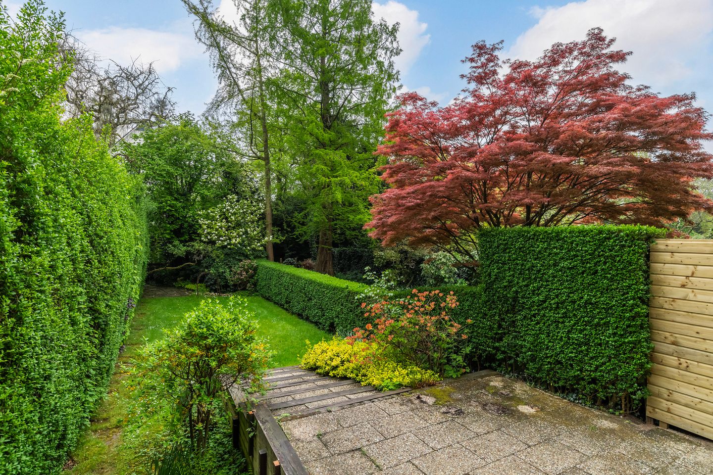 Photo 19 of Essenlaan 6