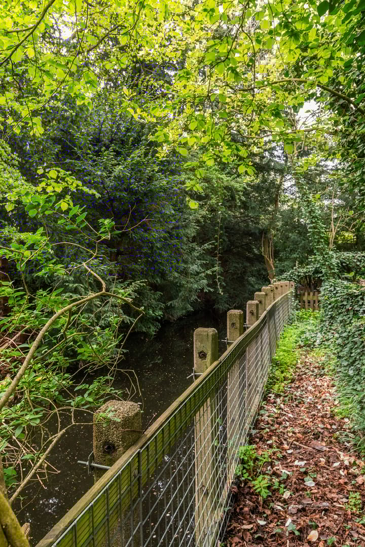 Photo 21 of Essenlaan 6