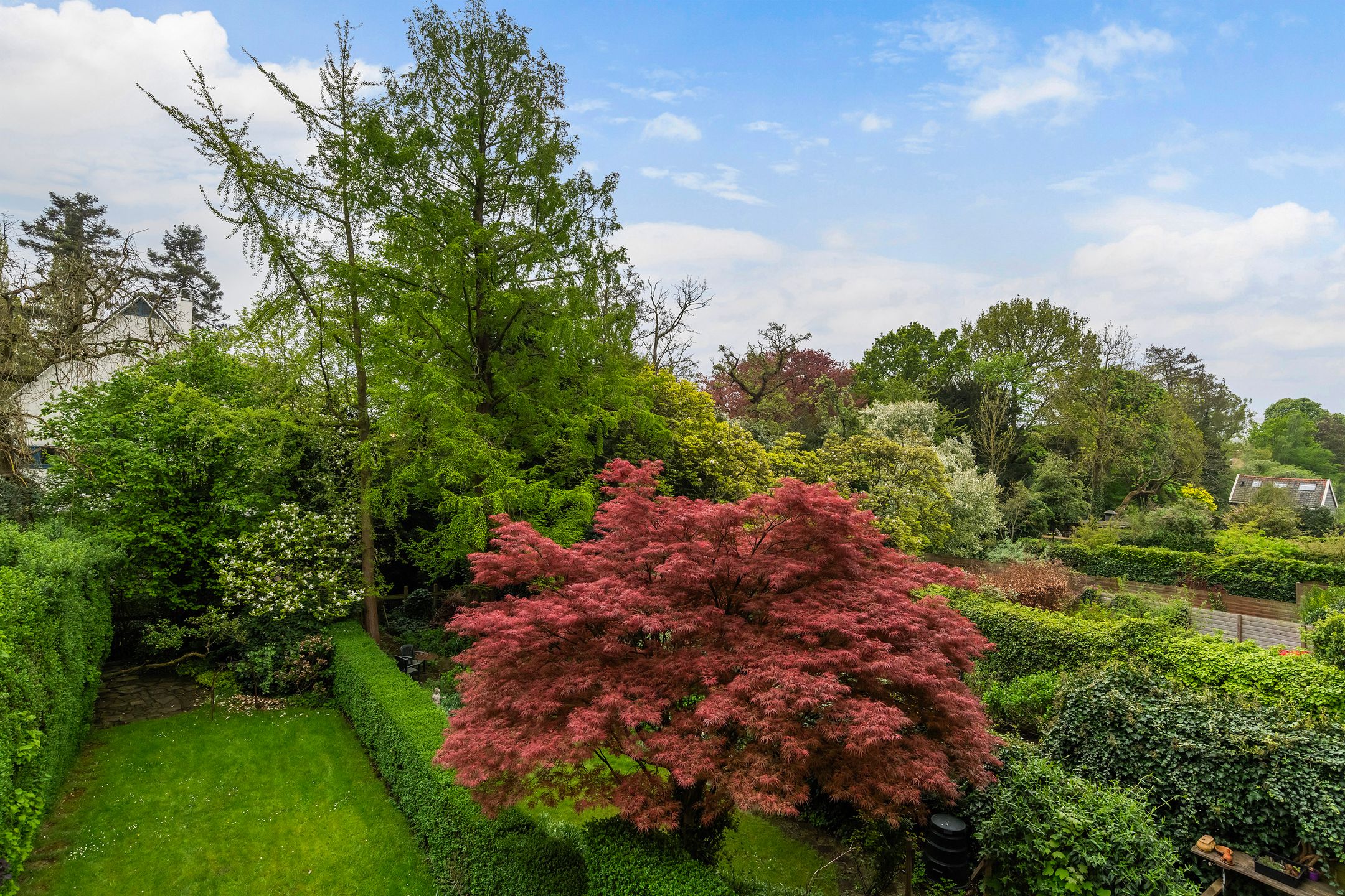 Photo 42 of Essenlaan 6