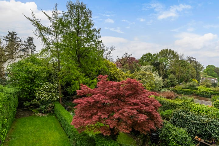 Photo 42 of Essenlaan 6