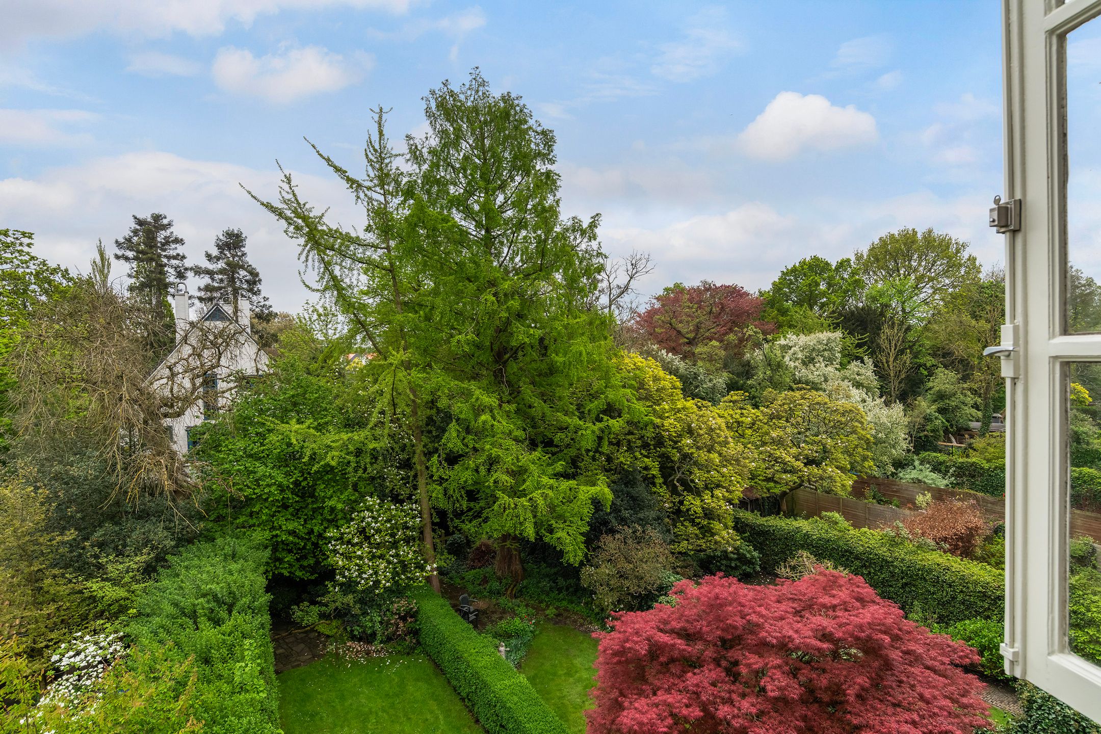 Photo 60 of Essenlaan 6