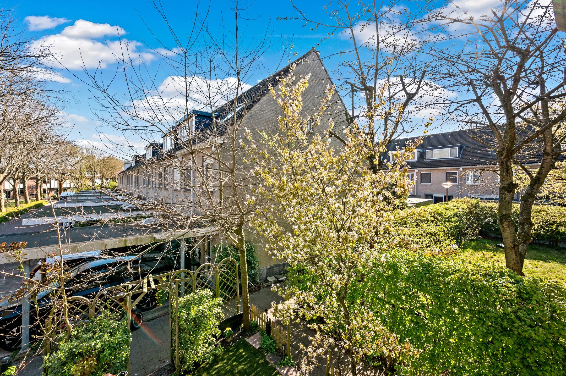 Foto 33 van Dr. R.J. Fruinplantsoen 36