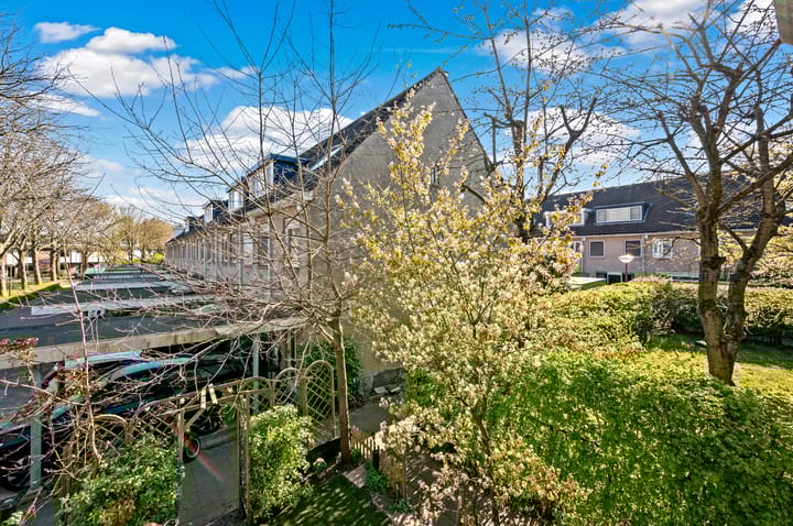 Foto 33 van Dr. R.J. Fruinplantsoen 36