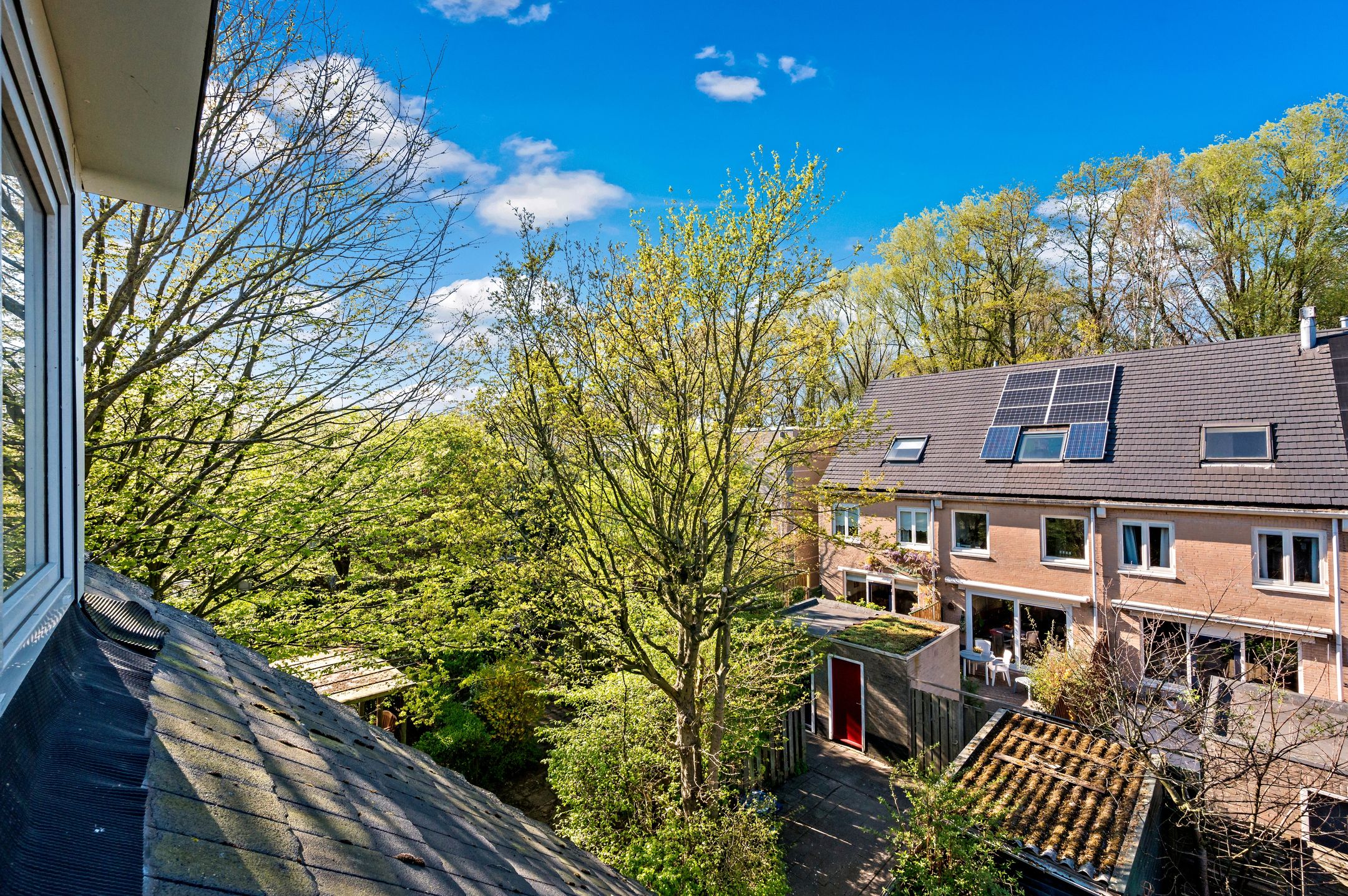 Foto 36 van Dr. R.J. Fruinplantsoen 36