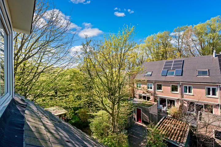 Foto 36 van Dr. R.J. Fruinplantsoen 36