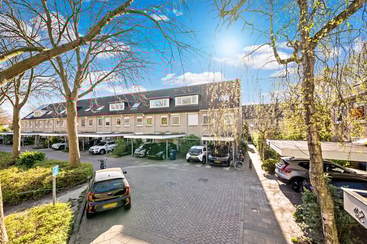 Foto 39 van Dr. R.J. Fruinplantsoen 36